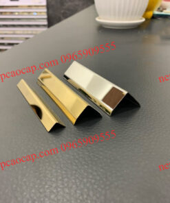 SV10x nẹp inox V10